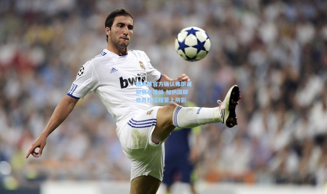 图卢兹官方确认弗朗西斯赛季报销 加纳国脚世界杯征程蒙上阴影