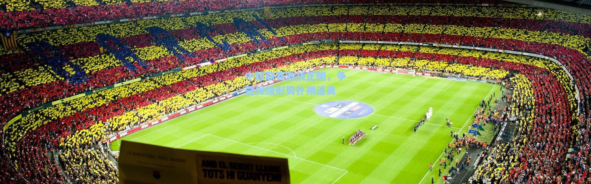 中超联赛激战正酣，争冠保级形势扑朔迷离