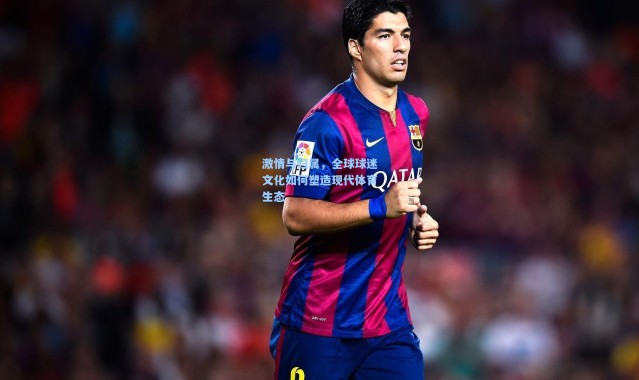 激情与归属，全球球迷文化如何塑造现代体育生态