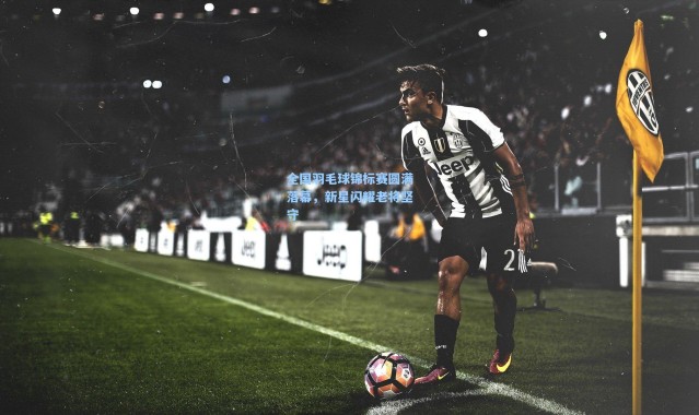 全国羽毛球锦标赛圆满落幕，新星闪耀老将坚守