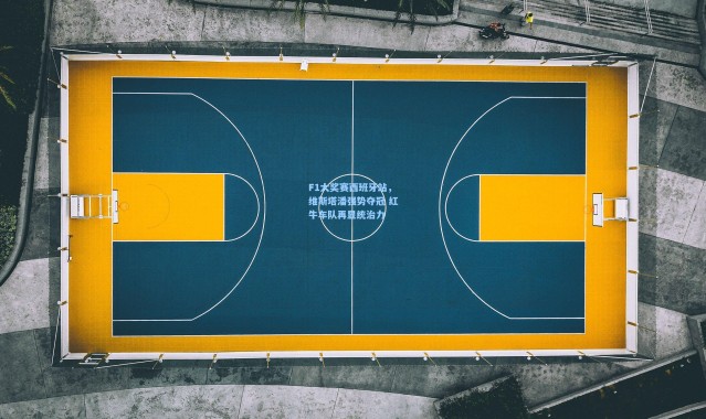 F1大奖赛西班牙站，维斯塔潘强势夺冠 红牛车队再显统治力