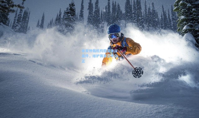 体育仲裁机构裁定争议案件，维护赛事公平公正