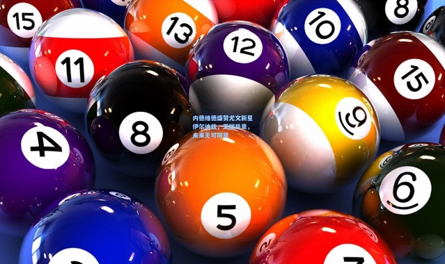 内德维德盛赞尤文新星伊尔迪兹，天赋异禀，未来无可限量