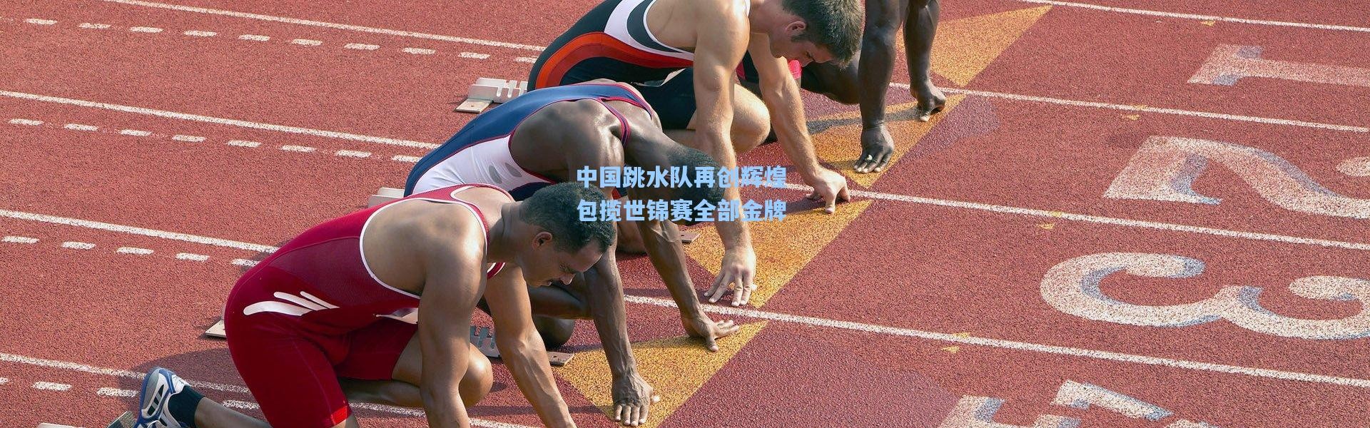 中国跳水队再创辉煌 包揽世锦赛全部金牌