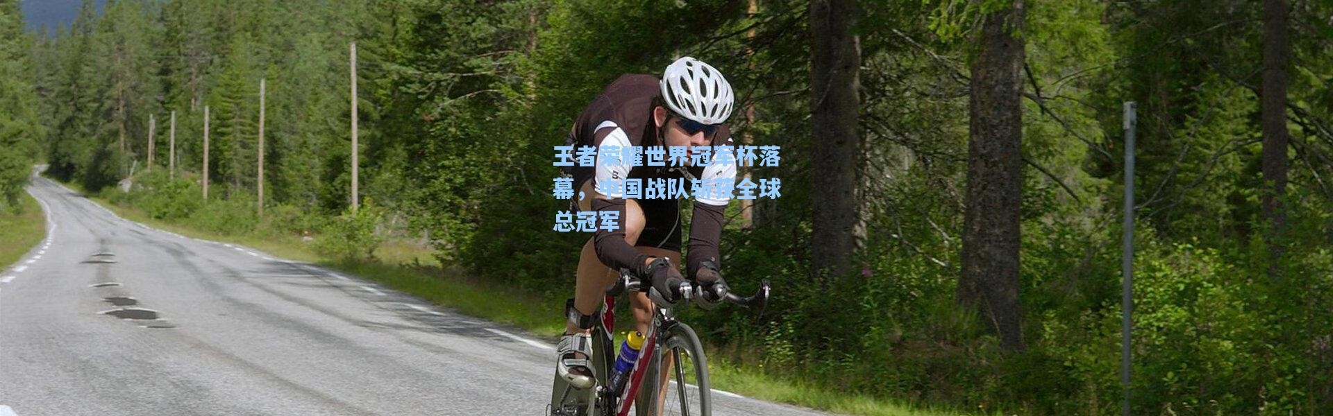 王者荣耀世界冠军杯落幕，中国战队斩获全球总冠军