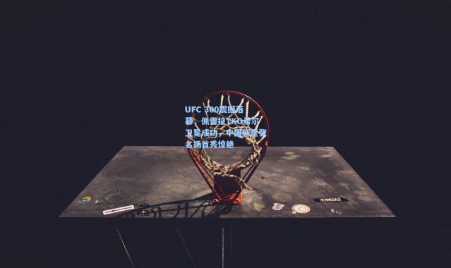 UFC 300震撼落幕，佩雷拉TKO希尔卫冕成功，中国新星张名扬首秀惊艳